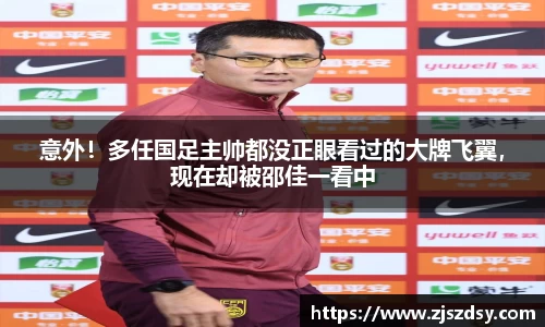 意外！多任国足主帅都没正眼看过的大牌飞翼，现在却被邵佳一看中